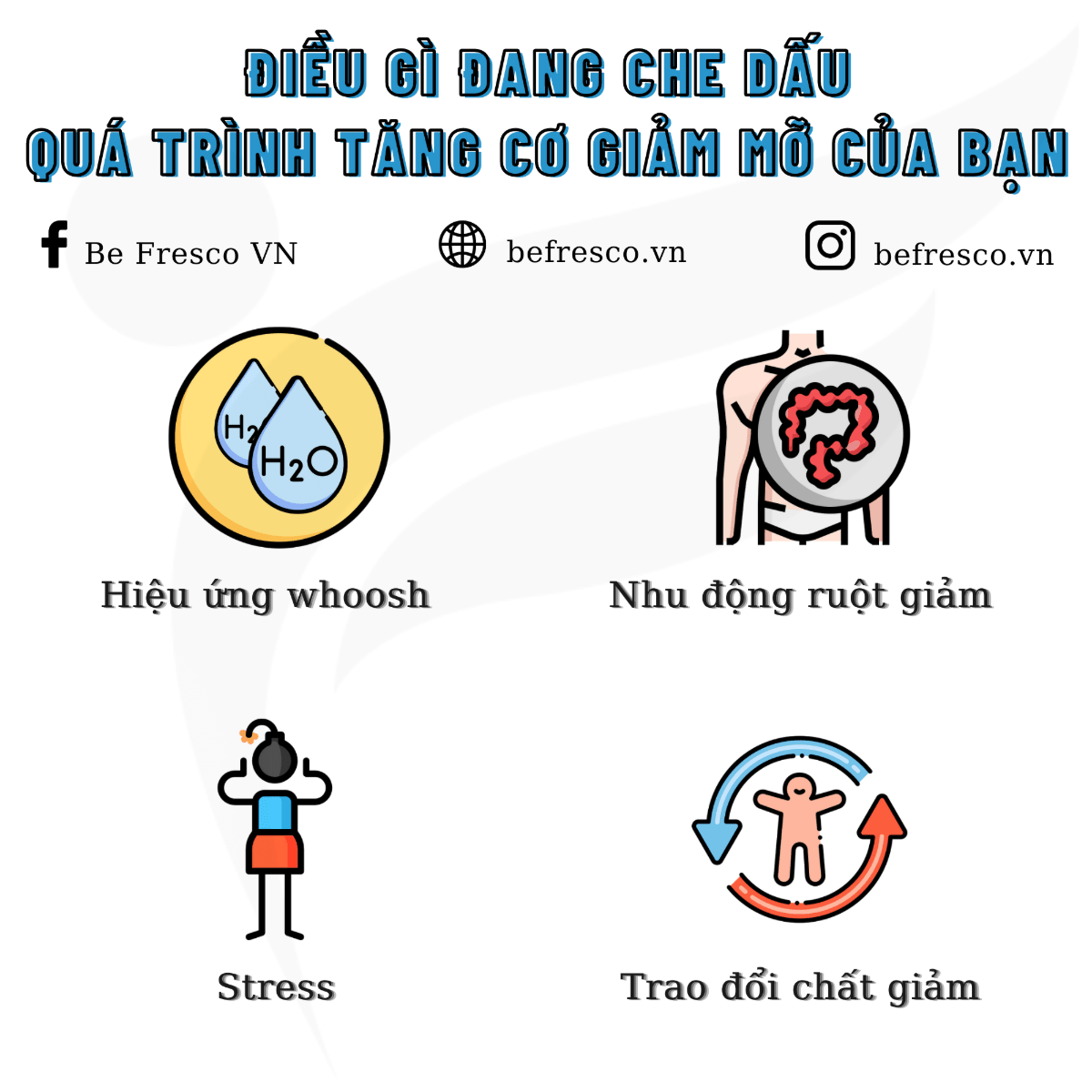 /fileuploads/Product/Content/Avatar/d6673b28dbd5406fa05ed4e086232e7a.png